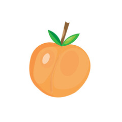 juicy peach on a white background