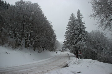 Route de montagne enneigée et verglacée (paysage) 