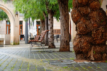Sitzbänke und Bäume auf der Plaça Nova in Sant Llorenç des Cardassar, Mallorca