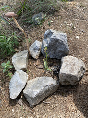 granite stones surround a young blade of grass that radiates an incredible desire for life, the sun shines warmly in spring