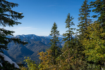 Trees with lightly snowy mountains in the background on a sunny day in winter