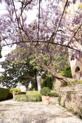 Medieval gardens design in Andalusian style, trees, plants, flowers and fontains