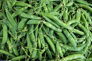 Ripe young green sweet garden peas legumes