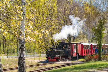Steam locomotive and narrow gauge railroad at the Cottbus Zoo on a sunny spring day