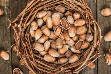 Ripe hazelnuts in shells. Harvest in a wicker basket, a healthy ingredient for snacks