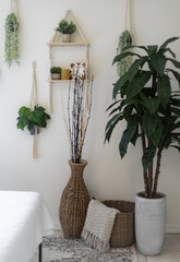 Plants decorating the corner of a bedroom