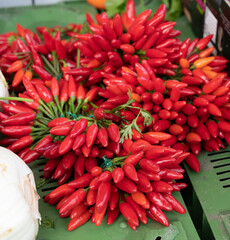 Bunches of red hot chili peppers for sale on market