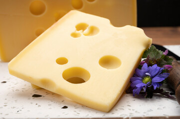 Swiss cheese collection, yellow emmentaler cheese with round holes