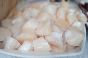 Fototapeta na wymiar Pecten maximus or great scallop, king scallop, St James shell or escallop fresh and open ready to cook