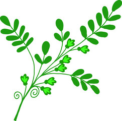A twig with green leaves and small flowers. Vector file for designs.