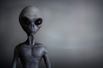 alien on a simple background © adimas