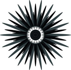 Abstract star in black and white shades. Vector file.