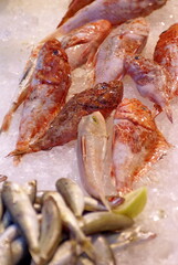 Fresh fish stall in a market in Crete, Greece