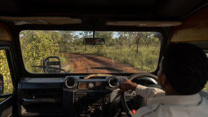 Man driving in Safari Vehicle in Tanzania Africa
