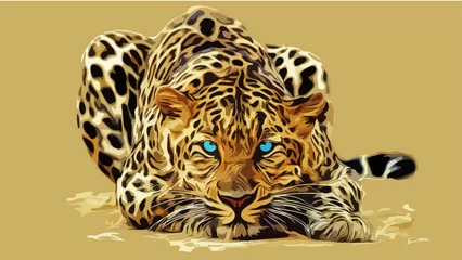 Foto op Plexiglas Leopard © Masum