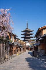 Fototapeta premium 京都の春 桜と八坂の塔