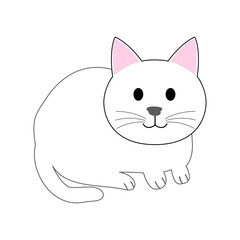 A Sitting white cat with white background