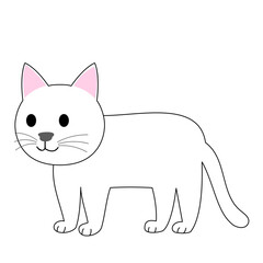 A standing white cat with white background