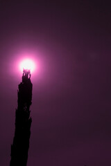 Full moon on the pole with purple background.