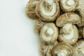 Mixed mushrooms on white background , top view and copy space