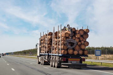 truck transporting tree trunks for the timber industry