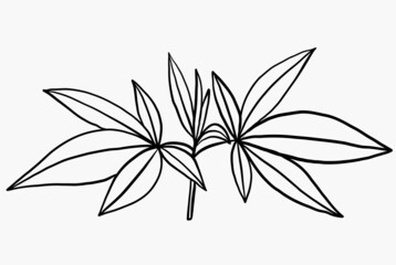 Simplicity cannabis plant freehand drawing flat design.