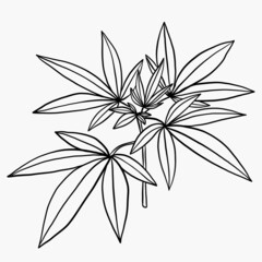 Simplicity cannabis plant freehand drawing flat design.