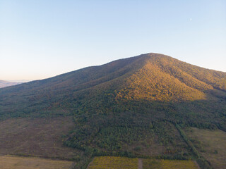 Forests of Guduricki peak. Aerial photo.