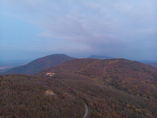 A road through the forest. Aerial photo.