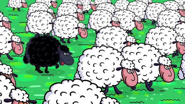 One black sheep among white sheep. Cartoon animation illustrating a difference that may cause hate. Metaphor of a society behaviours. Good and bad. Useful for films, science materials, etc...