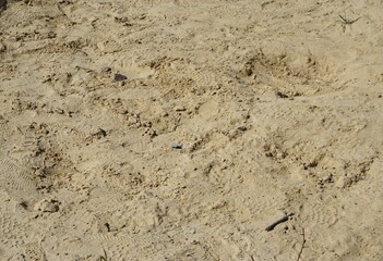 Sandfläche mit Fußspuren-Muster im Sonnenlicht 