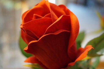 Rot-orange Tulpe aus Stoff 