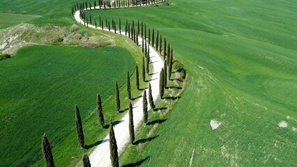 video with drone of typical Tuscany landscape.  White winding road, row of cypresses ,  lush green...