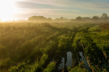 Puddle and dirt on a rural road in the early morning at dawn. Summer weather, green grass and fog