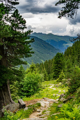 Fototapeta na wymiar alpiner landschaft wanderweg
