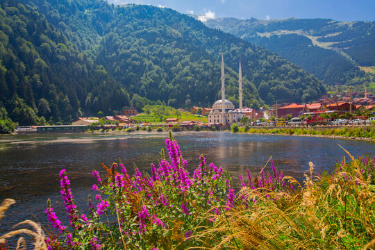 Westh turkey uzungol karadeniz trabzon national park naitonal geographic yayla mounatin lakeuzungol panorama