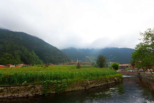 Yayla Bilder Durchsuchen 2,764 Archivfotos, und Videos