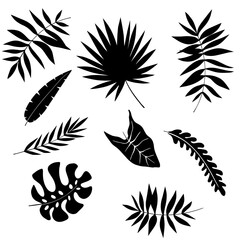 Palm leaves set black and white vector illustration