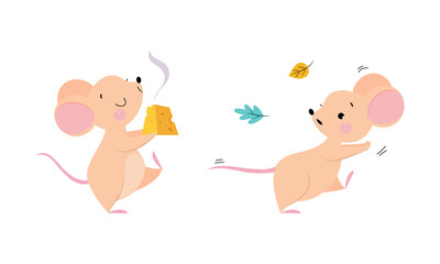 Cute adorable mice in different actions set. Funny mouse running and enjoying of eating cheese cartoon vector illustration
