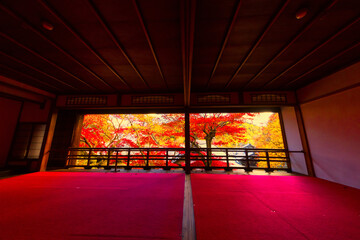 秋の柳谷観音 楊谷寺(京都府長岡京市)