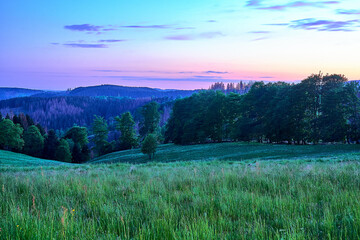 Green Meadow in colorful sunset