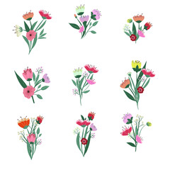 Set of nine vector flowers and leaves