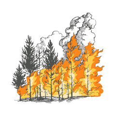Vector hand drawn illustration with burning forest. Sketch with wildfire. Trees on fire.