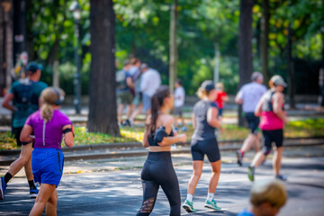 marathon runners in the city