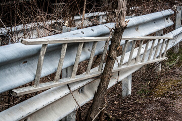 Scala a pioli incastrata fra un tronco sottile ed un guardrail