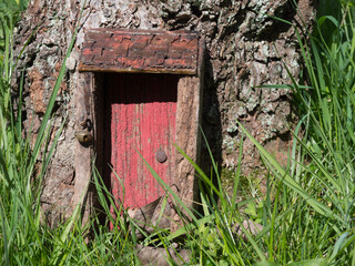 A tiny red door with little bell and tiled roof porch has be placed at the base of a tree for mythical fairies .Fairy House.Folklore.