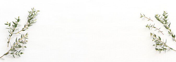 Fototapeta premium Top view image of eucalyptus over wooden white background. Flat lay