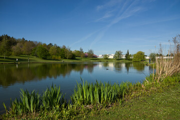 View on an urban natural park with a pond