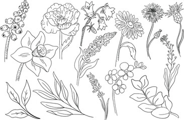 Wild Flowers illustration. Great for creating greeting cards, wedding invitations, summer and birthday parties,  scrapbooking and other