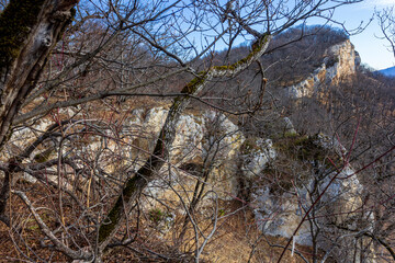 Autumn mountain forest located on the ridge of the tourist route.